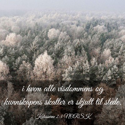 Picture 03 - Kolosserne 2:3 NORSK - i hvem alle visdommens og kunnskapens skatter er - Bible Verse Picture
