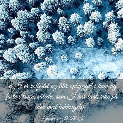 Picture 03 - Kolosserne 2:7 NORSK - så I er rotfestet og blir opbygget i ham og - Bible Verse Picture