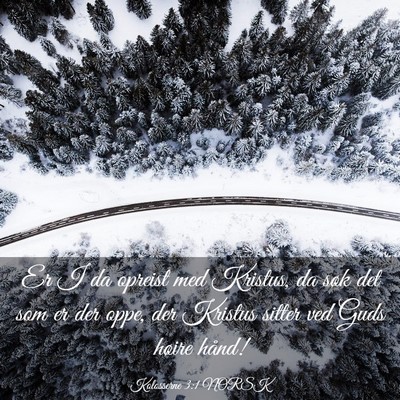 Picture 03 - Kolosserne 3:1 NORSK - Er I da opreist med Kristus, da søk det som er - Bible Verse Picture
