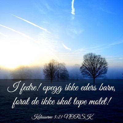 Picture 03 - Kolosserne 3:21 NORSK - I fedre! opegg ikke eders barn, forat de ikke - Bible Verse Picture