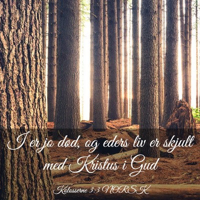 Picture 03 - Kolosserne 3:3 NORSK - I er jo død, og eders liv er skjult med Kristus - Bible Verse Picture