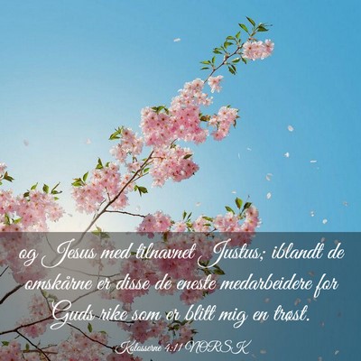 Picture 03 - Kolosserne 4:11 NORSK - og Jesus med tilnavnet Justus; iblandt de - Bible Verse Picture