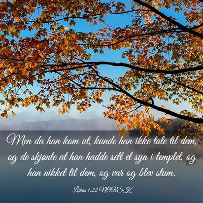 Picture 03 - Lukas 1:22 NORSK - Men da han kom ut, kunde han ikke tale til dem, - Bible Verse Picture