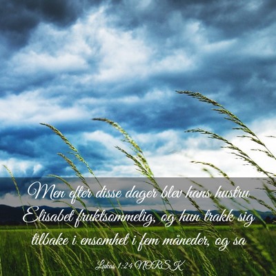 Picture 03 - Lukas 1:24 NORSK - Men efter disse dager blev hans hustru Elisabet - Bible Verse Picture