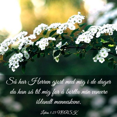 Picture 03 - Lukas 1:25 NORSK - Så har Herren gjort med mig i de dager da han - Bible Verse Picture