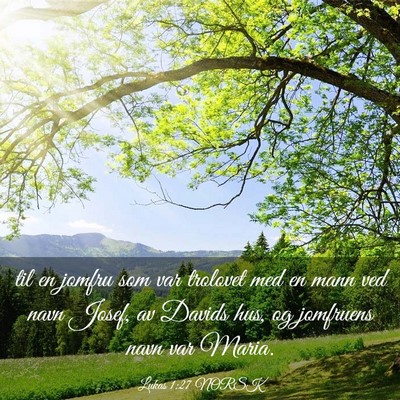 Picture 03 - Lukas 1:27 NORSK - til en jomfru som var trolovet med en mann ved - Bible Verse Picture
