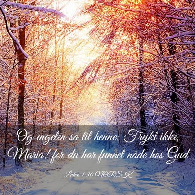 Picture 03 - Lukas 1:30 NORSK - Og engelen sa til henne: Frykt ikke, Maria! for - Bible Verse Picture