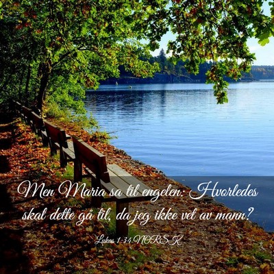 Picture 03 - Lukas 1:34 NORSK - Men Maria sa til engelen: Hvorledes skal dette - Bible Verse Picture