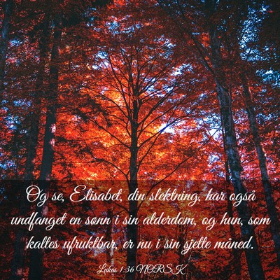 Picture 03 - Lukas 1:36 NORSK - Og se, Elisabet, din slektning, har også - Bible Verse Picture