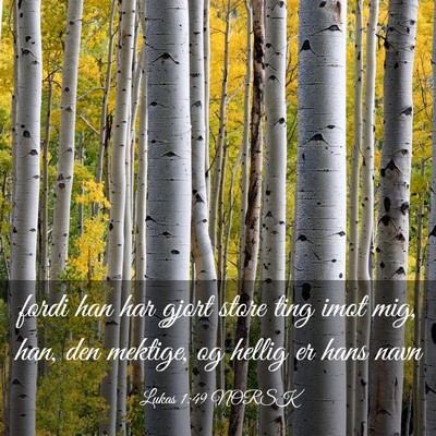 Picture 03 - Lukas 1:49 NORSK - fordi han har gjort store ting imot mig, han, den - Bible Verse Picture