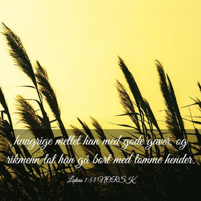 Picture 03 - Lukas 1:53 NORSK - hungrige mettet han med gode gaver, og rikmenn - Bible Verse Picture
