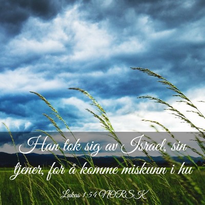 Picture 03 - Lukas 1:54 NORSK - Han tok sig av Israel, sin tjener, for å komme - Bible Verse Picture