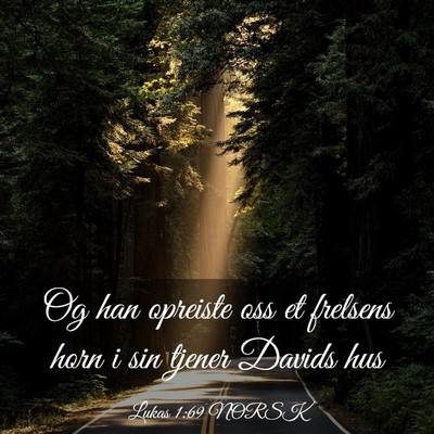 Picture 03 - Lukas 1:69 NORSK - Og han opreiste oss et frelsens horn i sin tjener - Bible Verse Picture