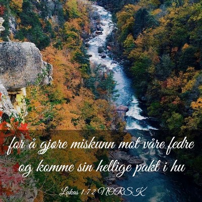Picture 03 - Lukas 1:72 NORSK - for å gjøre miskunn mot våre fedre og komme - Bible Verse Picture