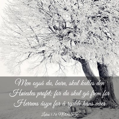Picture 03 - Lukas 1:76 NORSK - Men også du, barn, skal kalles den Høiestes - Bible Verse Picture