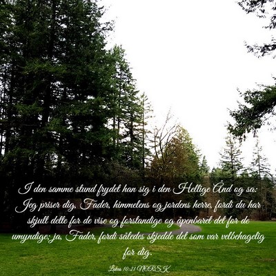 Picture 03 - Lukas 10:21 NORSK - I den samme stund frydet han sig i den Hellige - Bible Verse Picture