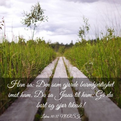 Picture 03 - Lukas 10:37 NORSK - Han sa: Den som gjorde barmhjertighet imot ham. - Bible Verse Picture
