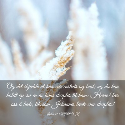 Picture 03 - Lukas 11:1 NORSK - Og det skjedde at han var ensteds og bad; og da - Bible Verse Picture