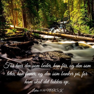 Picture 03 - Lukas 11:10 NORSK - For hver den som beder, han får, og den som - Bible Verse Picture