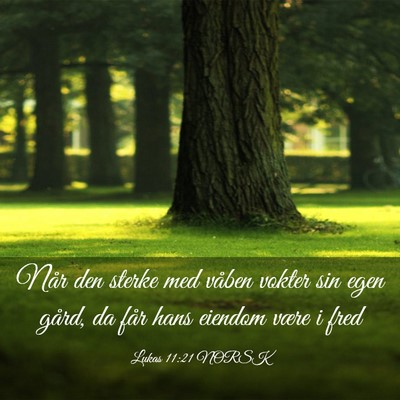 Picture 03 - Lukas 11:21 NORSK - Når den sterke med våben vokter sin egen gård, - Bible Verse Picture