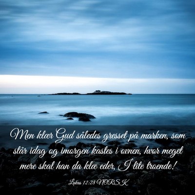 Picture 03 - Lukas 12:28 NORSK - Men klær Gud således gresset på marken, som - Bible Verse Picture