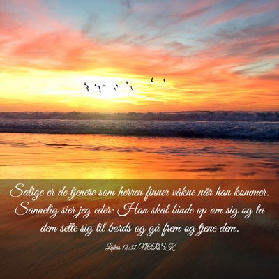 Picture 03 - Lukas 12:37 NORSK - Salige er de tjenere som herren finner våkne - Bible Verse Picture