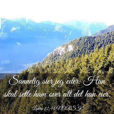 Picture 03 - Lukas 12:44 NORSK - Sannelig sier jeg eder: Han skal sette ham over - Bible Verse Picture