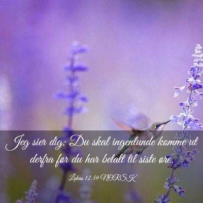 Picture 03 - Lukas 12:59 NORSK - Jeg sier dig: Du skal ingenlunde komme ut derfra - Bible Verse Picture