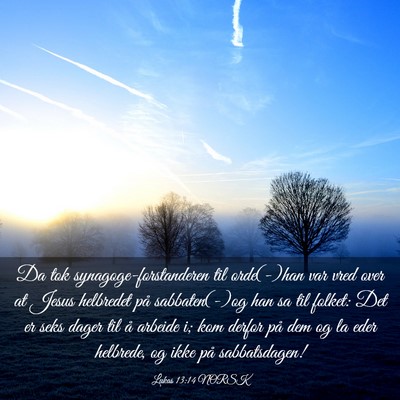 Picture 03 - Lukas 13:14 NORSK - Da tok synagoge-forstanderen til orde(-)han var - Bible Verse Picture