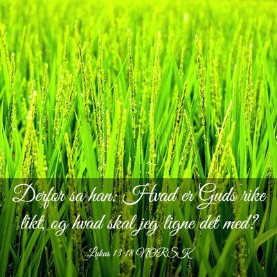 Picture 03 - Lukas 13:18 NORSK - Derfor sa han: Hvad er Guds rike likt, og hvad - Bible Verse Picture