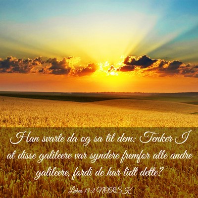 Picture 03 - Lukas 13:2 NORSK - Han svarte da og sa til dem: Tenker I at disse - Bible Verse Picture