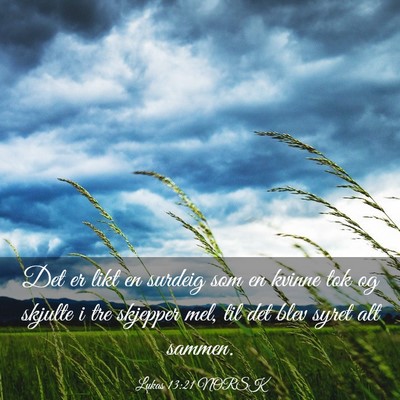 Picture 03 - Lukas 13:21 NORSK - Det er likt en surdeig som en kvinne tok og - Bible Verse Picture