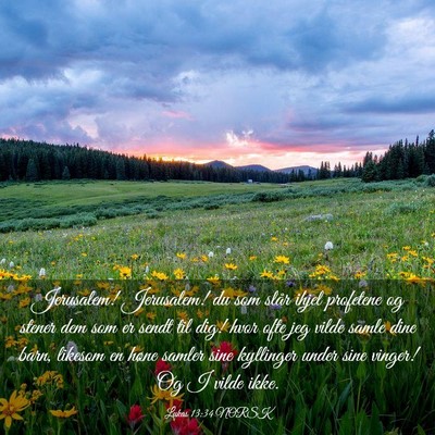 Picture 03 - Lukas 13:34 NORSK - Jerusalem! Jerusalem! du som slår ihjel - Bible Verse Picture