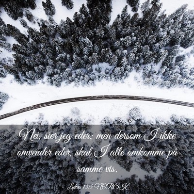 Picture 03 - Lukas 13:5 NORSK - Nei, sier jeg eder; men dersom I ikke omvender - Bible Verse Picture