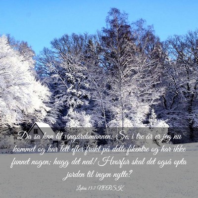 Picture 03 - Lukas 13:7 NORSK - Da sa han til vingårdsmannen: Se, i tre år er - Bible Verse Picture