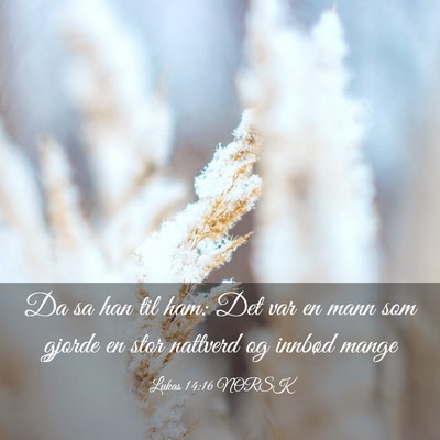 Picture 03 - Lukas 14:16 NORSK - Da sa han til ham: Det var en mann som gjorde en - Bible Verse Picture