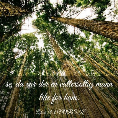 Picture 03 - Lukas 14:2 NORSK - se, da var der en vattersottig mann like for - Bible Verse Picture