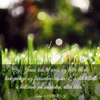 Picture 03 - Lukas 14:3 NORSK - Og Jesus tok til orde og talte til de lovkyndige - Bible Verse Picture