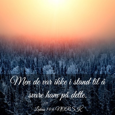 Picture 03 - Lukas 14:6 NORSK - Men de var ikke i stand til å svare ham på - Bible Verse Picture