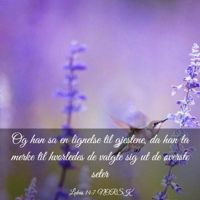 Picture 03 - Lukas 14:7 NORSK - Og han sa en lignelse til gjestene, da han la - Bible Verse Picture