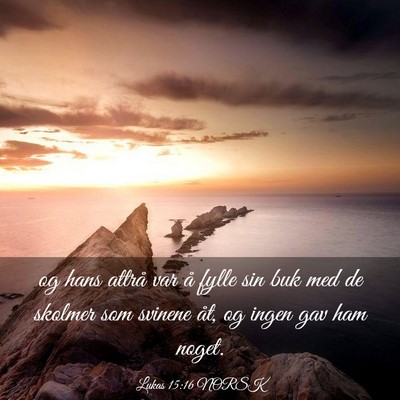 Picture 03 - Lukas 15:16 NORSK - og hans attrå var å fylle sin buk med de - Bible Verse Picture