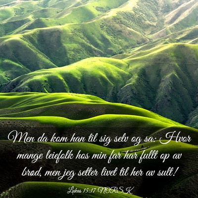 Picture 03 - Lukas 15:17 NORSK - Men da kom han til sig selv og sa: Hvor mange - Bible Verse Picture