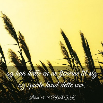 Picture 03 - Lukas 15:26 NORSK - og han kalte en av tjenerne til sig og spurte - Bible Verse Picture