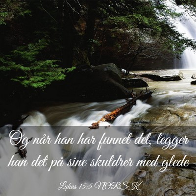 Picture 03 - Lukas 15:5 NORSK - Og når han har funnet det, legger han det på - Bible Verse Picture