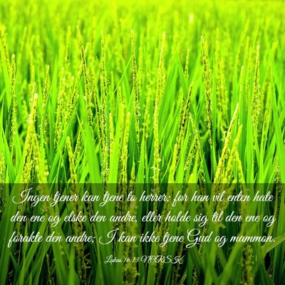 Picture 03 - Lukas 16:13 NORSK - Ingen tjener kan tjene to herrer; for han vil - Bible Verse Picture