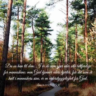 Picture 03 - Lukas 16:15 NORSK - Da sa han til dem: I er de som gjør eder selv - Bible Verse Picture