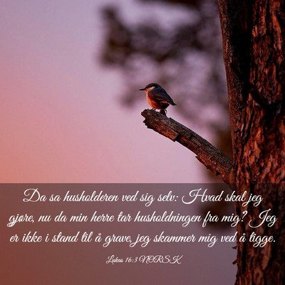 Picture 03 - Lukas 16:3 NORSK - Da sa husholderen ved sig selv: Hvad skal jeg - Bible Verse Picture