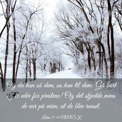 Picture 03 - Lukas 17:14 NORSK - Og da han så dem, sa han til dem: Gå bort og te - Bible Verse Picture
