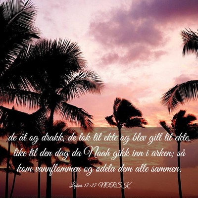 Picture 03 - Lukas 17:27 NORSK - de åt og drakk, de tok til ekte og blev gitt til - Bible Verse Picture