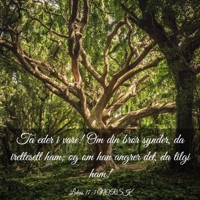 Picture 03 - Lukas 17:3 NORSK - Ta eder i vare! Om din bror synder, da irettesett - Bible Verse Picture